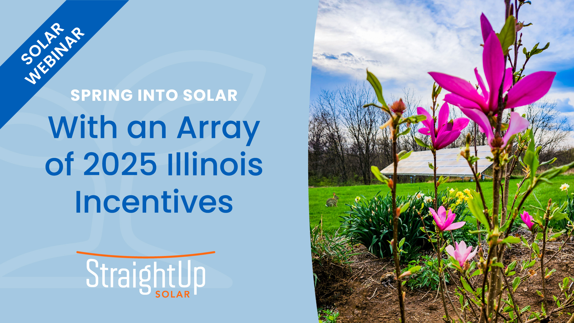 WEBINAR | Spring into Solar: 2025 Illinois Solar Incentives