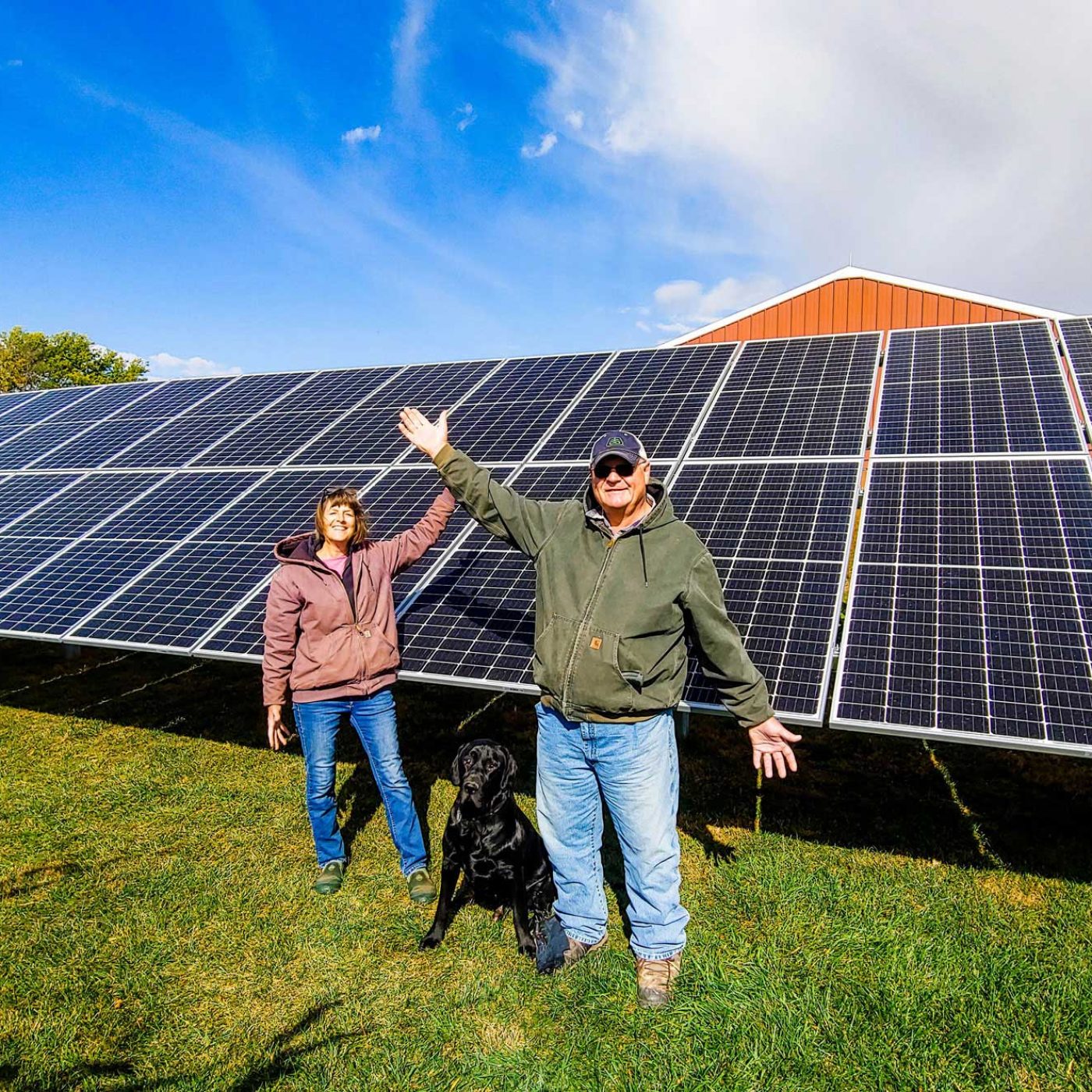 commercial ground-mounted solar panels