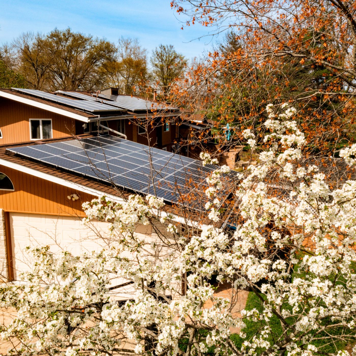 KevinSeltzer_Resi_Rooftop_Beauty_STL_Nature_Flowers_DJI_0463_web1920