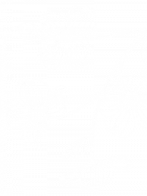dogwood-white-transparent